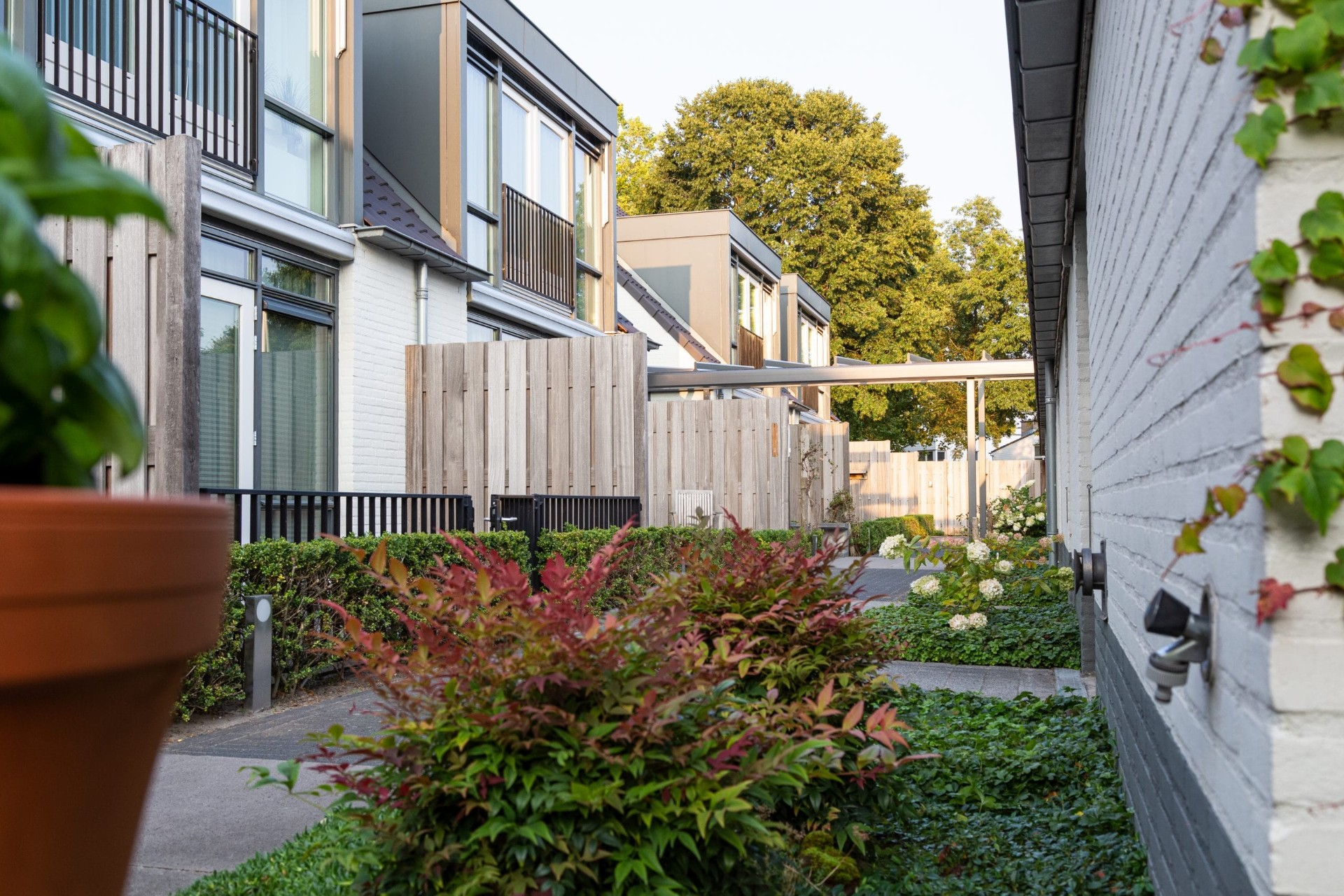 Samenwerking in de zorgdriehoek